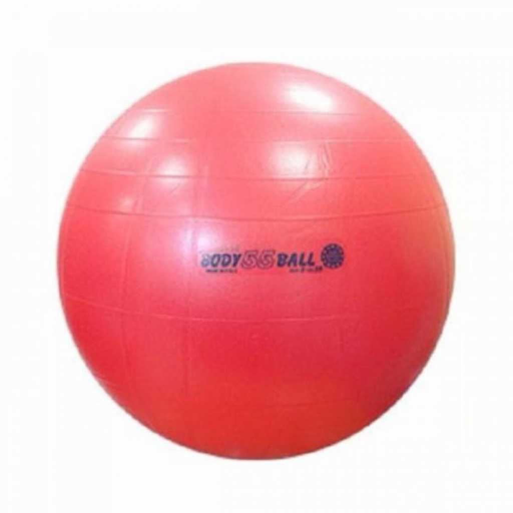 Мяч 55см Body boll с BRQ 90.55 Orto купить в OrtoMir24